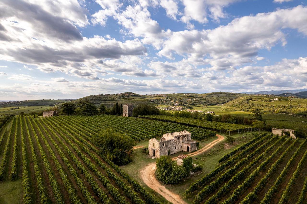 Agriturismo Monte Bisson Soave  Dış mekan fotoğraf