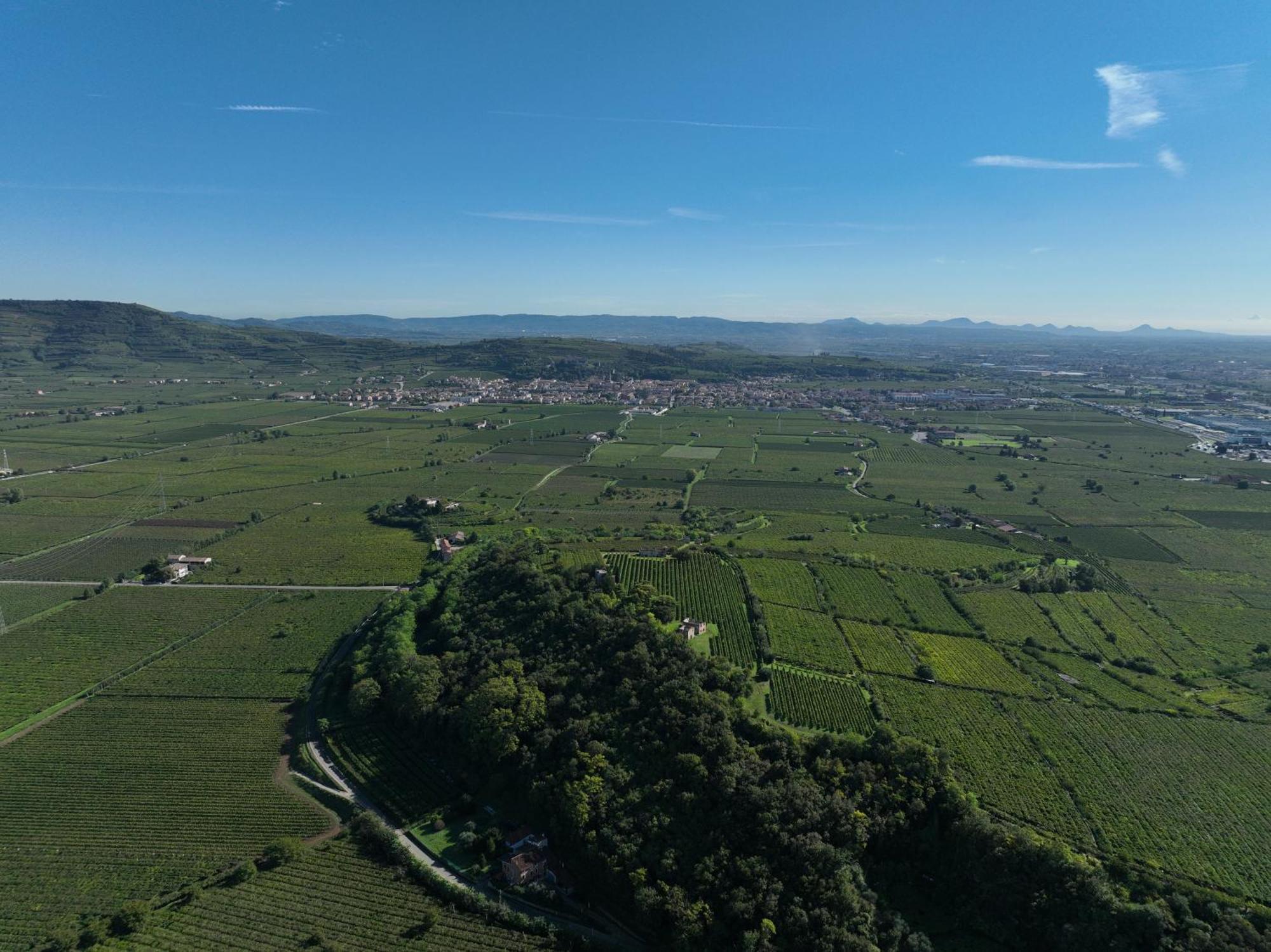 Agriturismo Monte Bisson Soave  Dış mekan fotoğraf